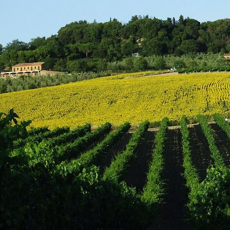 Bio Agriturismo Il Torrione サトゥルニア エクステリア 写真