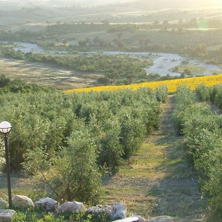 Bio Agriturismo Il Torrione サトゥルニア エクステリア 写真