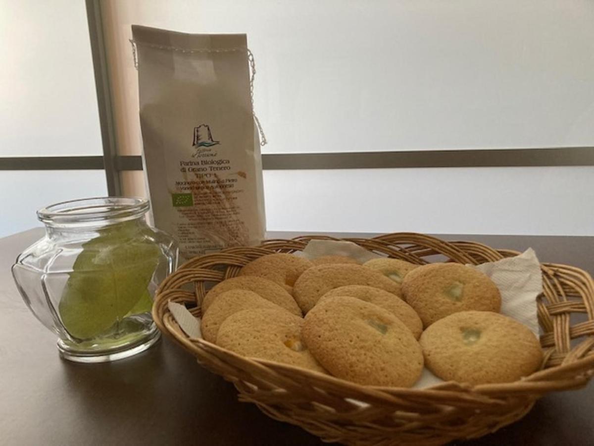 Bio Agriturismo Il Torrione サトゥルニア エクステリア 写真