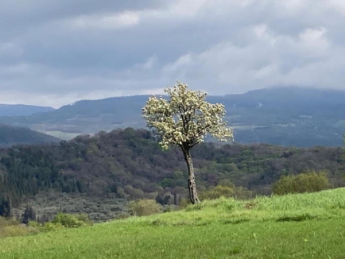 Bio Agriturismo Il Torrione サトゥルニア エクステリア 写真