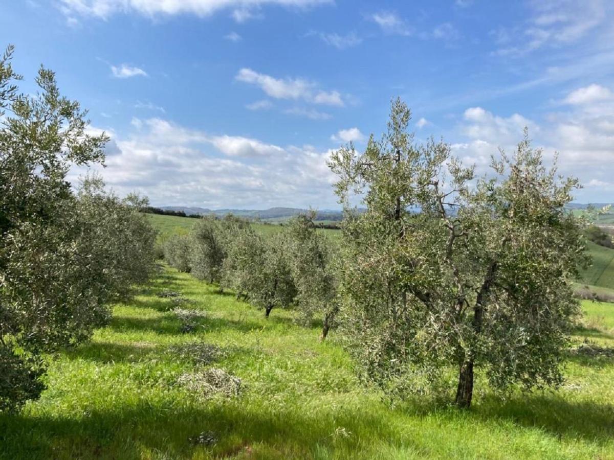 Bio Agriturismo Il Torrione サトゥルニア エクステリア 写真