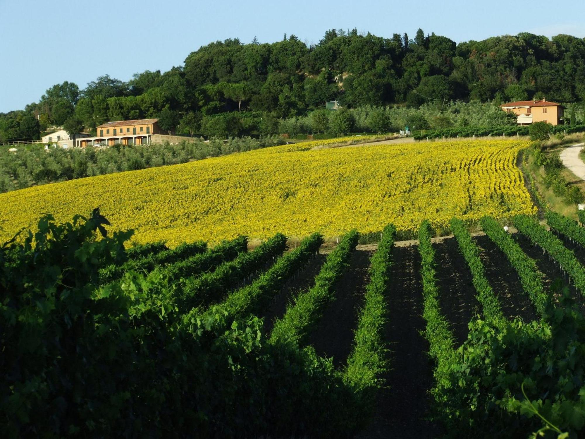 Bio Agriturismo Il Torrione サトゥルニア エクステリア 写真