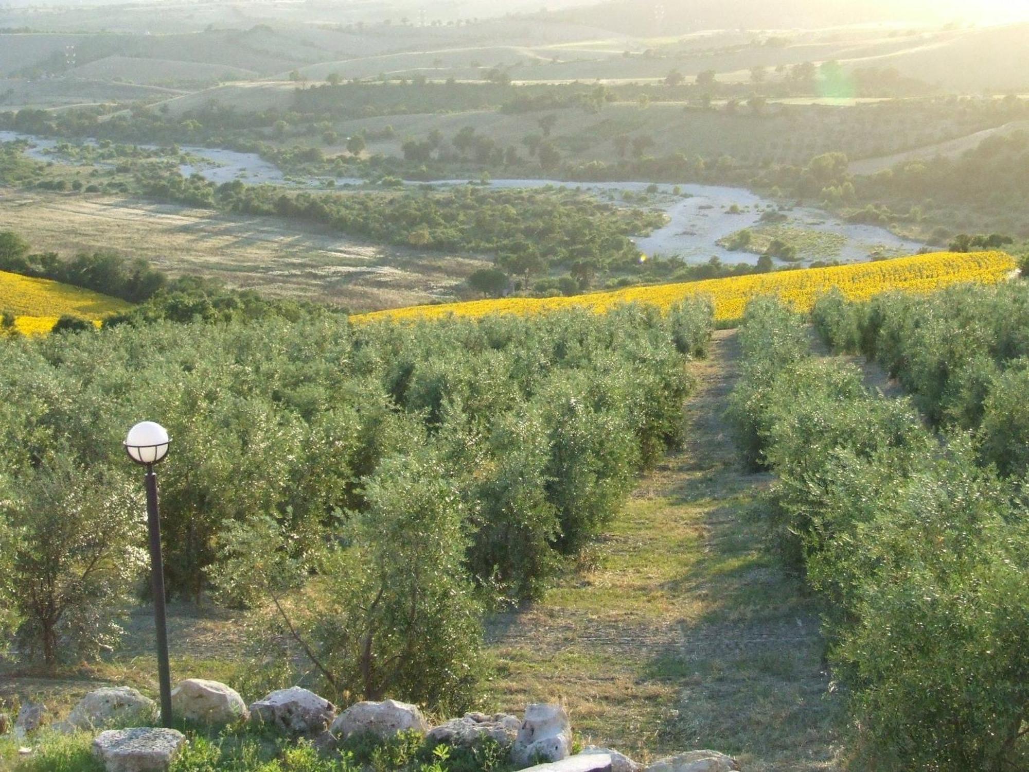 Bio Agriturismo Il Torrione サトゥルニア エクステリア 写真