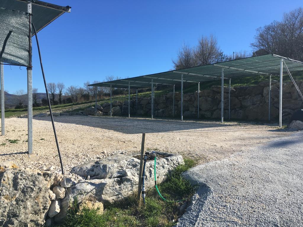 Bio Agriturismo Il Torrione サトゥルニア エクステリア 写真