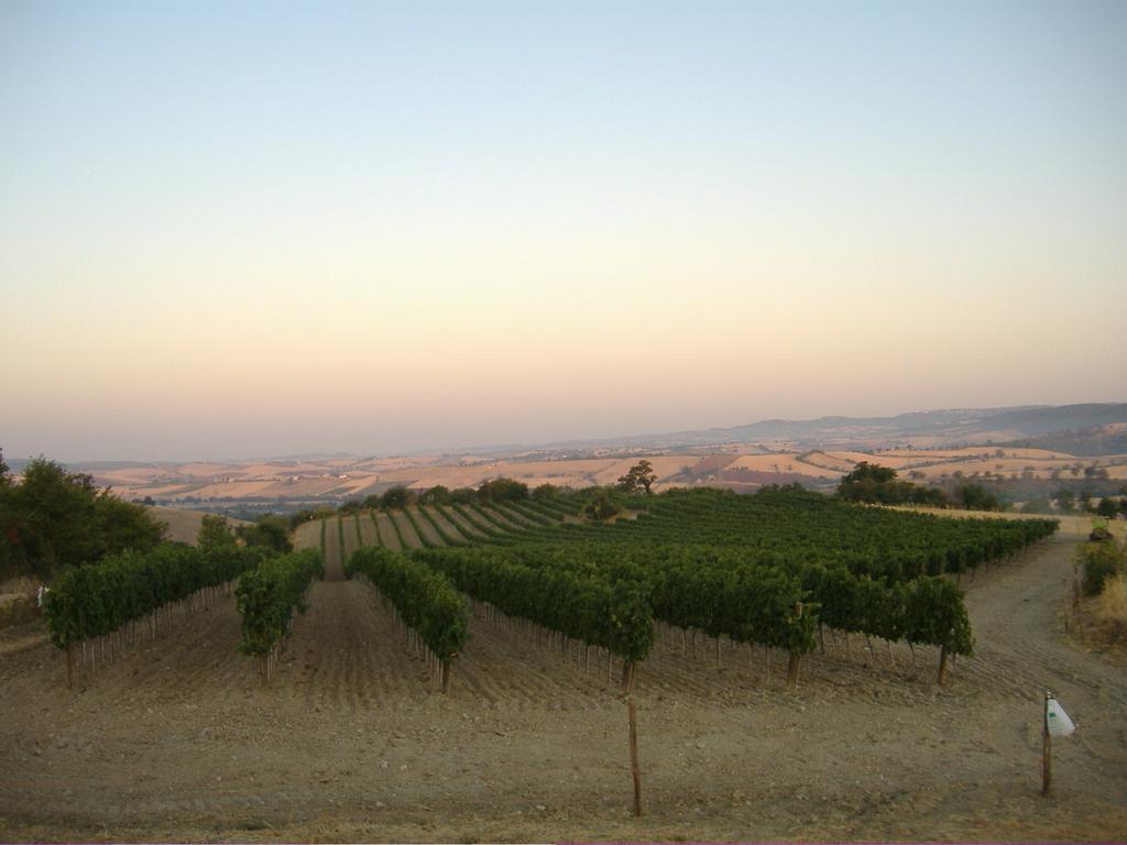 Bio Agriturismo Il Torrione サトゥルニア エクステリア 写真